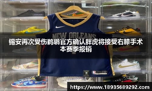 锡安再次受伤鹈鹕官方确认胖虎将接受右膝手术本赛季报销