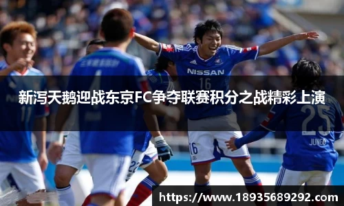 新泻天鹅迎战东京FC争夺联赛积分之战精彩上演